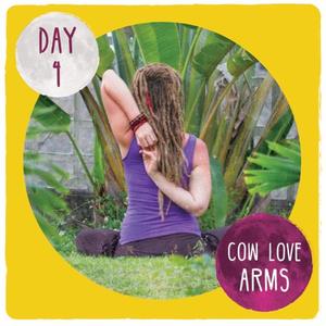 Day 4- Cow love arms